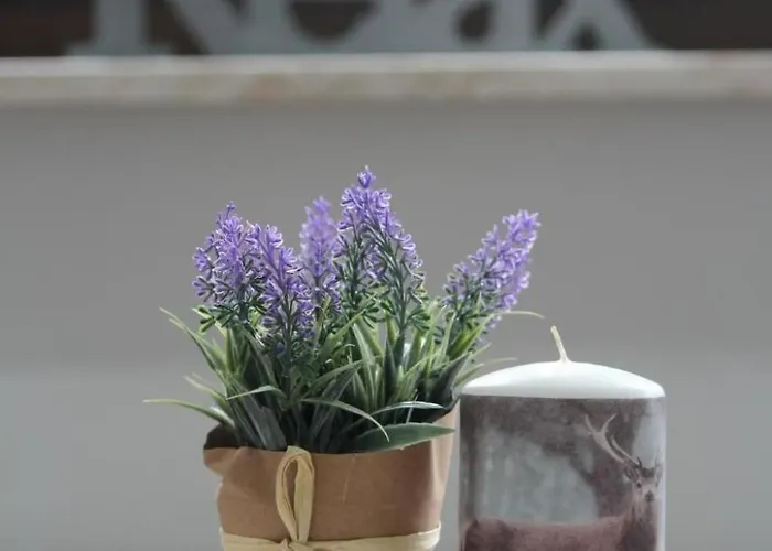 Daire In By Interhome