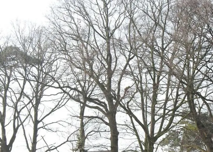 Daire In By Interhome Hau